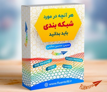 شبکه بندی در انسیس